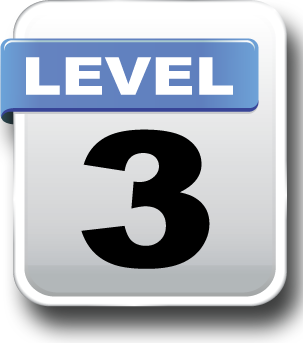 Level 3